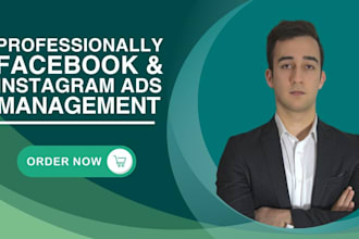 create and manage instagram ads and facebook ads campaign