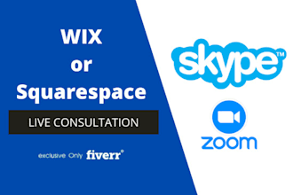 provide squarespace or wix consultation on skype or zoom video call