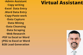 do copywrite data entry in excel and word  copy paste web research