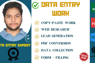 do data entry, copy paste and web research for you