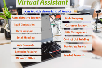 be virtual assistant for data entry, copy paste typing work