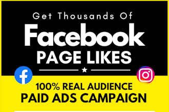 run a facebook ad campaign to grow your page likes
