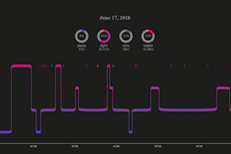 do 1 hour d3 js consultation