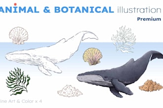 draw animal and botanical illustrations
