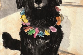 draw your pet in watercolor