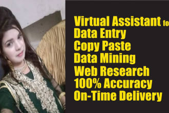 do data entry, web research, excel data entry, typing, copy paste