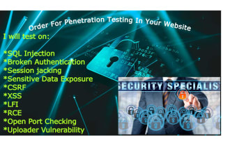 pentest your web application and provide you a full report