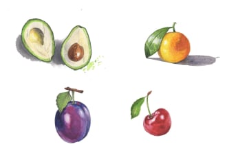 paint flowers, plants and fruits in watercolor