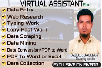 do fastest excel data entry, data entry, web research, copy past and typing