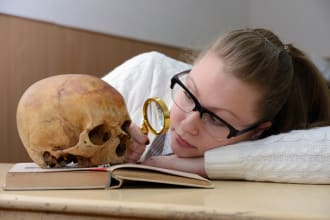 do all assignments of archaeology, history and anthropology