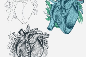 create super artistic line art and vector illustration