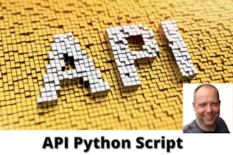 build a custom python API integration and data sync
