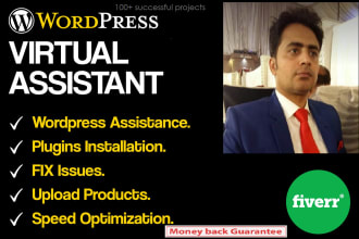 be your wordpress virtual assistant, consultant or support