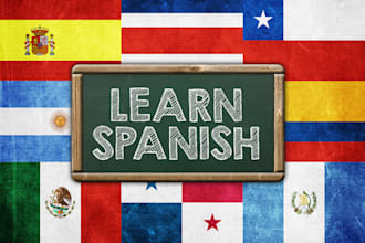 give professional spanish classes