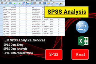 do any statistical data analysis with spss, excel