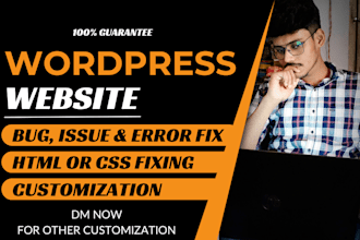 fix and customize your website