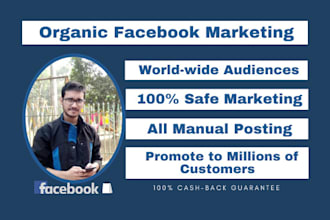 do organic facebook promotion for your business