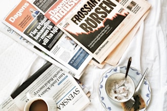 write SEO optimized articles and blog posts for you