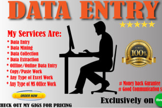 do data entry typing work in excel spreadsheet