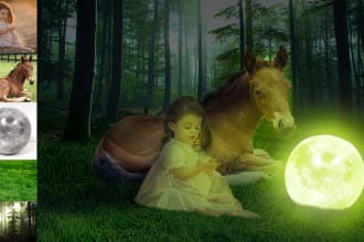 do realistic photo manipulation in photoshop work
