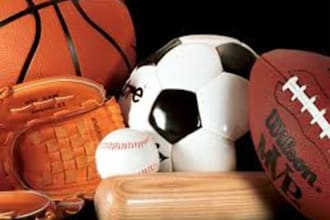 send 10,000 unique, real human, sports and recreation niche targeted visitors to your site