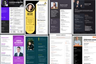 provide professional resume,cv designs,resume templates,edit resume
