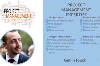 do project management, gantt chart and business case study