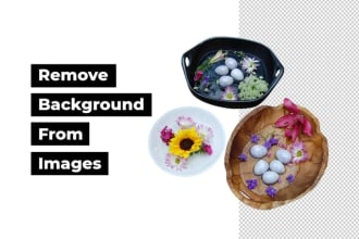 remove background  images with white or transparent any