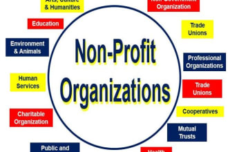 do nonprofit organisations accounting