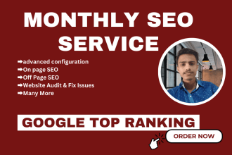 do complete monthly SEO service for top ranking in google