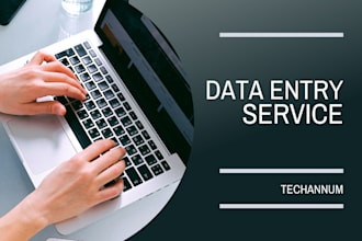 do exceptional data entry work for your company