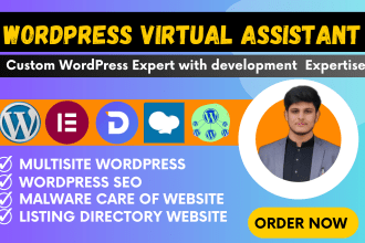 be your wordpress expert and wordpress virtual assistant VA
