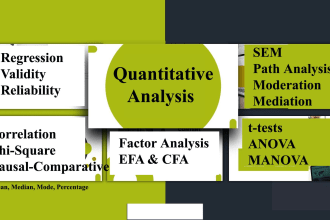 do quantitative data analysis for research work