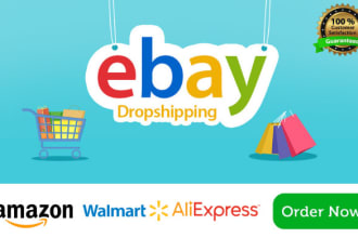 manage your ebay account as a virtual assistant, ebay listing, audit, promotion