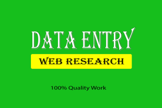 be your virtual assistant for excel data entry and web research