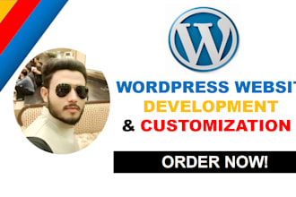 provide professional wordpress website development and customization services