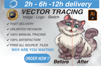 do manual vector tracing any image or diagram into vector and raster to vector
