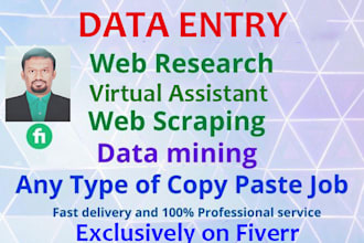do fastest data entry in one day