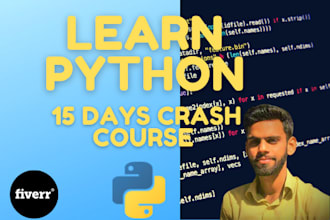 tutor, help or teach you code python programming as a python tutor