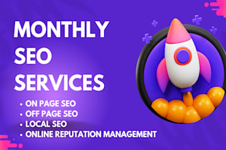 be your website manager and provide monthly SEO services