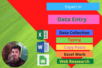 do data entry, excel data, google sheet in USA sites