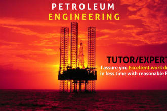 provide tutoring services related to petroleum engineering