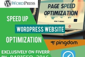 do speed optimization with gtmetrix pagespeed in 12hr
