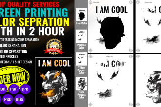 do color separation vector artwork redraw screen printing in 2 hours