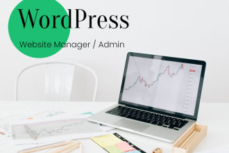 manage your wordpress website on monthly basis
