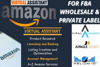 be your amazon fba consultant and virtual assistant to set up store