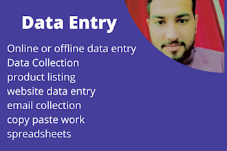 data entry, copy paste, web research, excel data entry