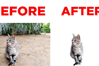 remove the background or greenscreen from your photos