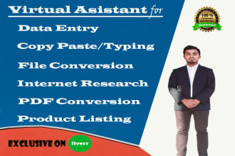 be your virtual assistant for data entry, file conversion and web research
