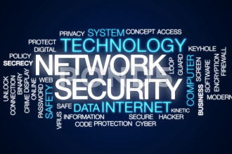 configure network routers, switches, firewalls, wireless and VPN setup